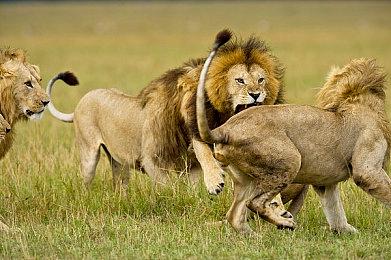 《哈迪斯》发售1周年官方贺图 GSC推出男主粘土人手办